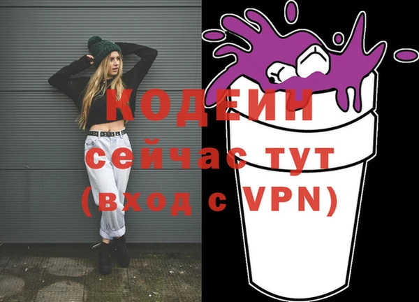 apvp Аша