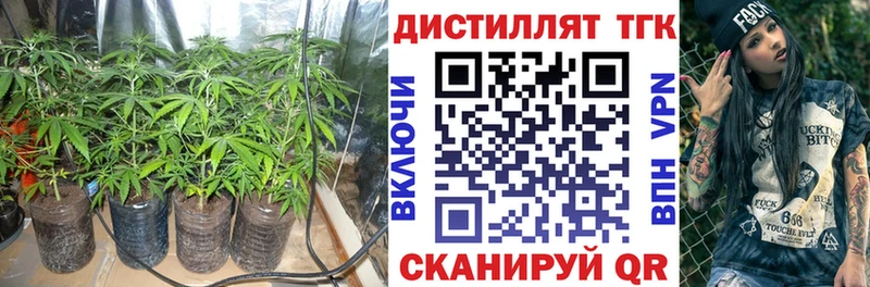 цена наркотик  Гурьевск  Дистиллят ТГК Wax 